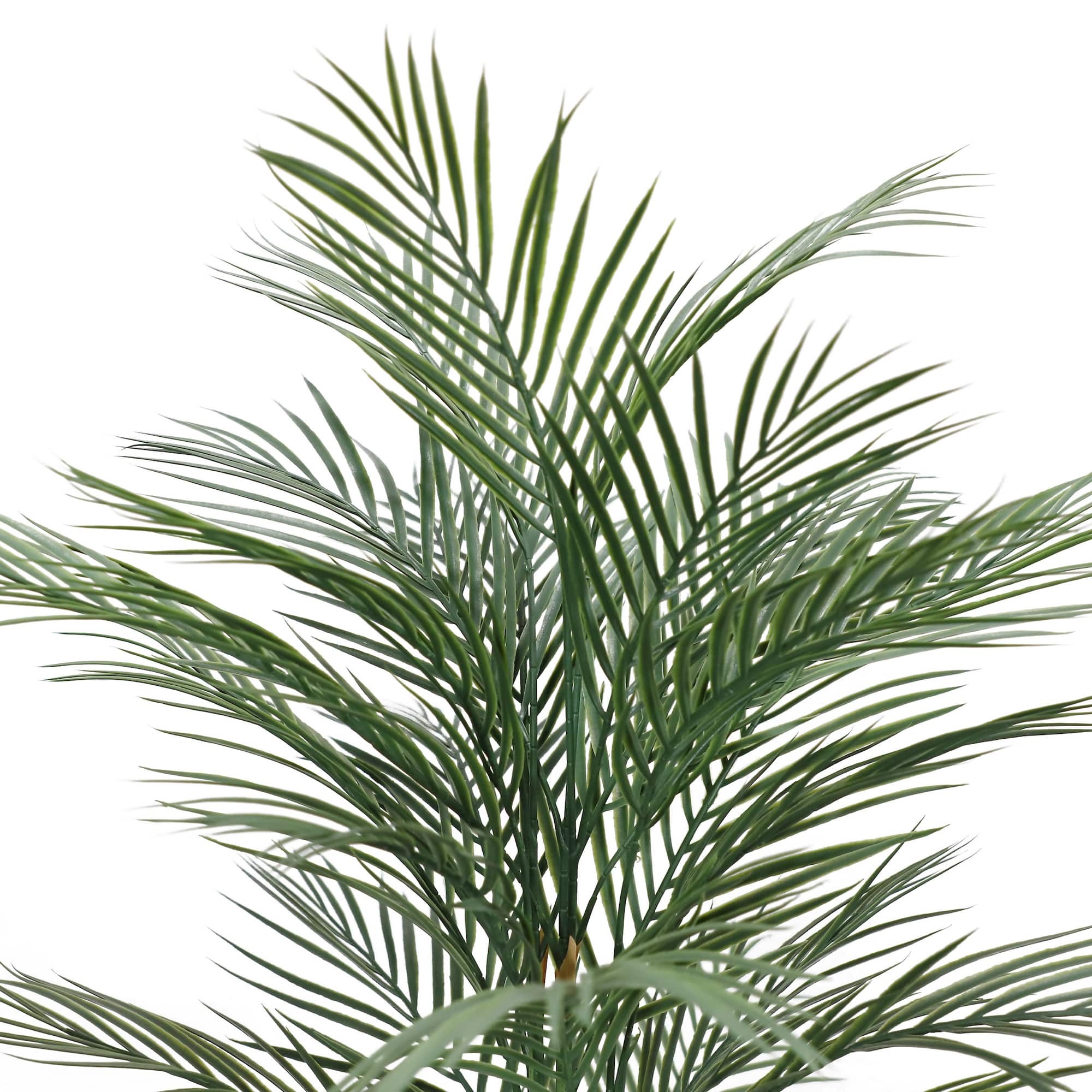 6 Pack: 4ft. Potted Areca Palm Tree